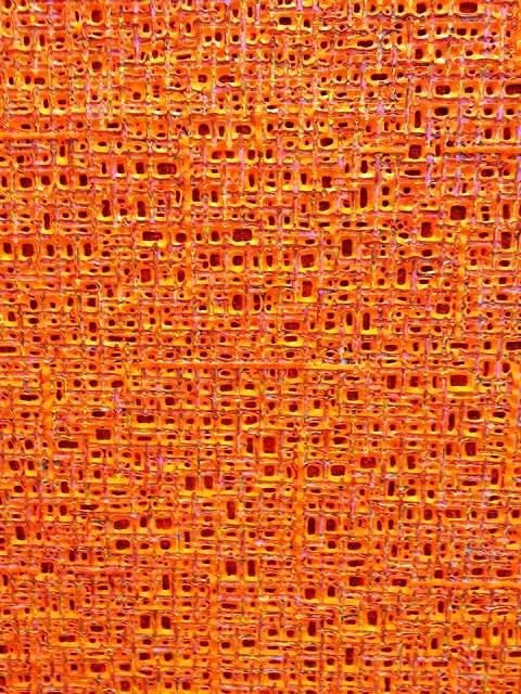 15032819_10205566873730589_4586093178882308449_n.jpg