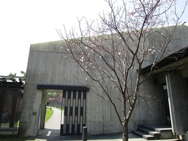 2017-4-5大溪齋明寺 131.JPG