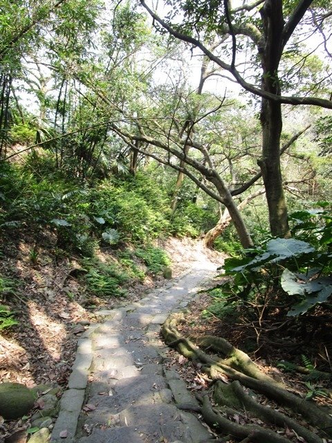 2017-4-5大溪齋明寺 163.JPG