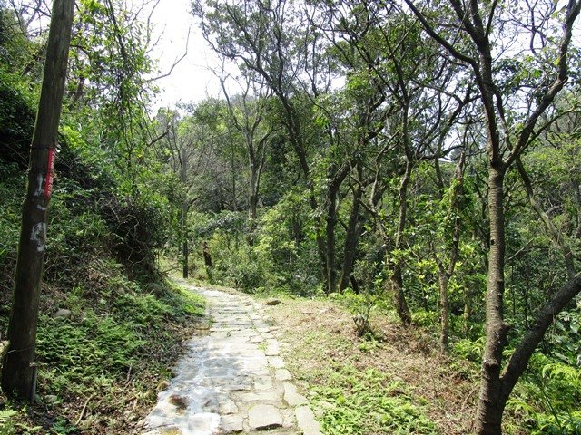 2017-4-5大溪齋明寺 165.JPG