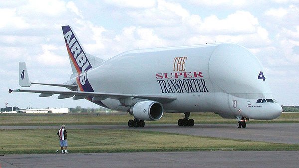 800px-Airbus_Beluga.jpg