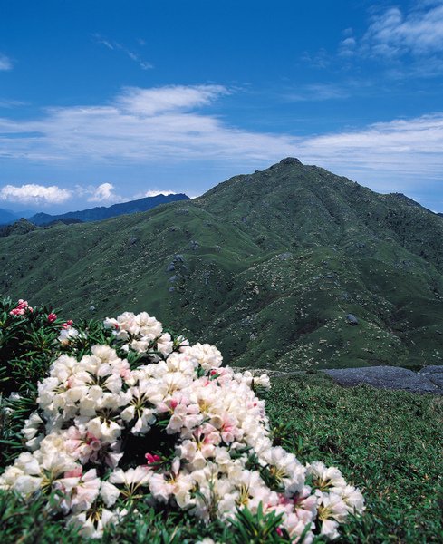 宮之浦岳(屋久島)