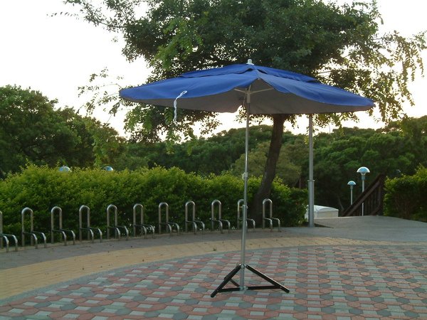 50正子母(全藍).jpg