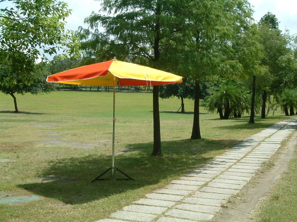 50正橘黃1.jpg