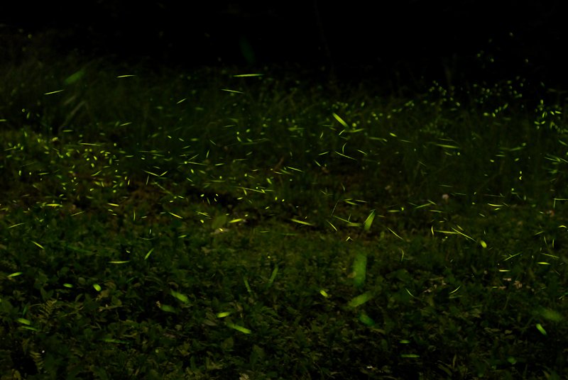 DSC_0057.jpg