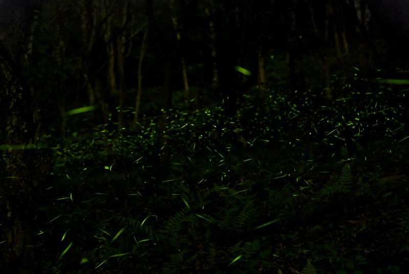 DSC_0076.jpg