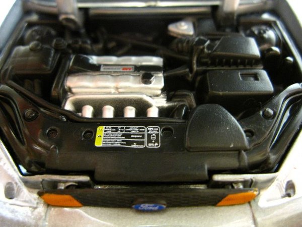 focus12.jpg