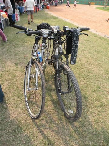 車車合照
