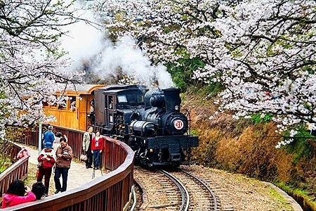 嘉義阿里山