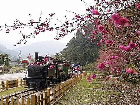 宜蘭太平山