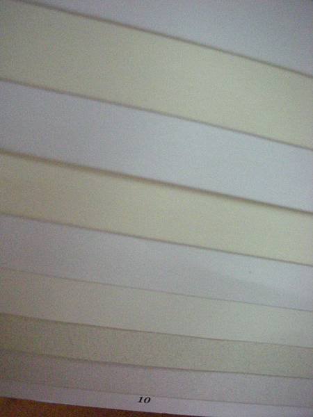 DSCN4088