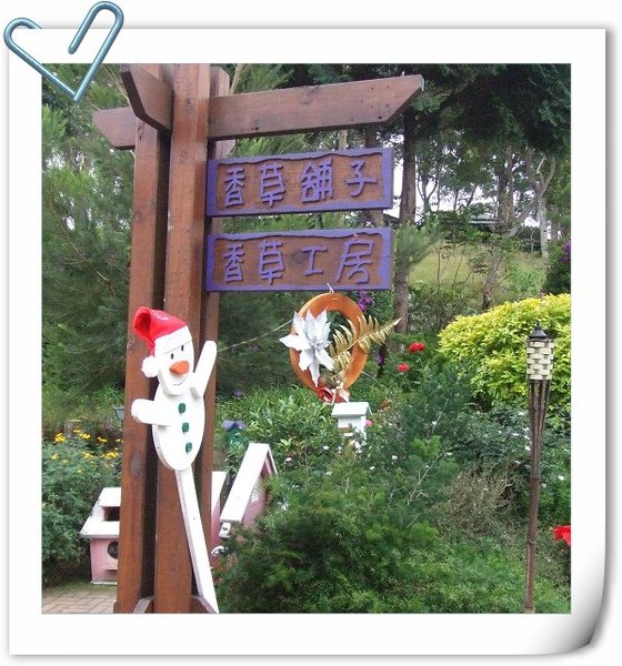仙草 115.jpg