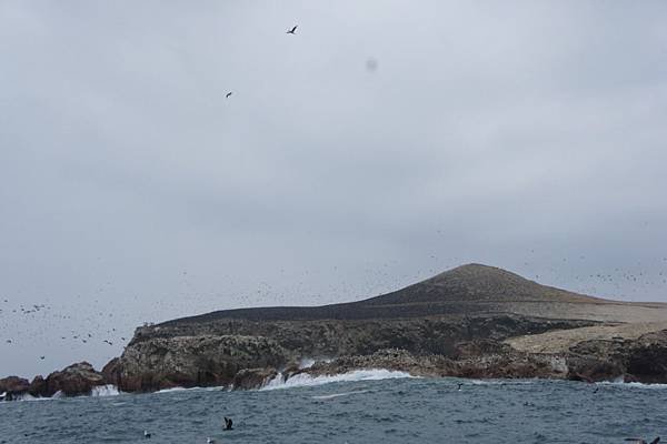 DSC05125.JPG