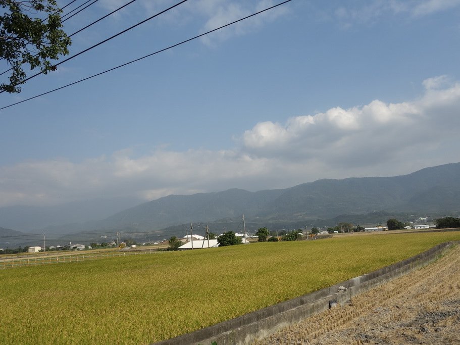 20131118_153.JPG