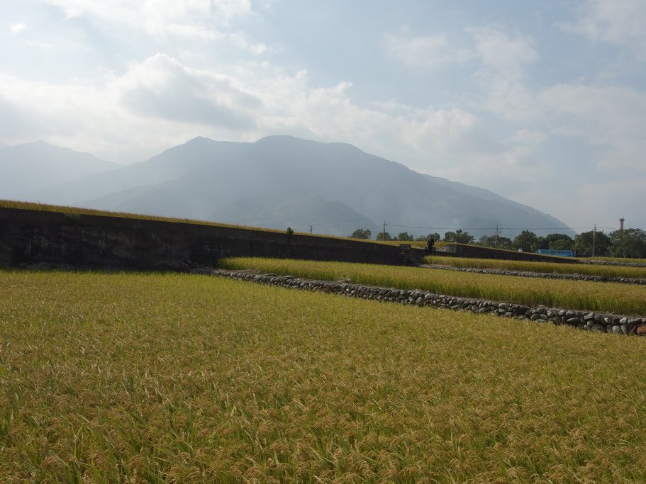 20131118_158.JPG