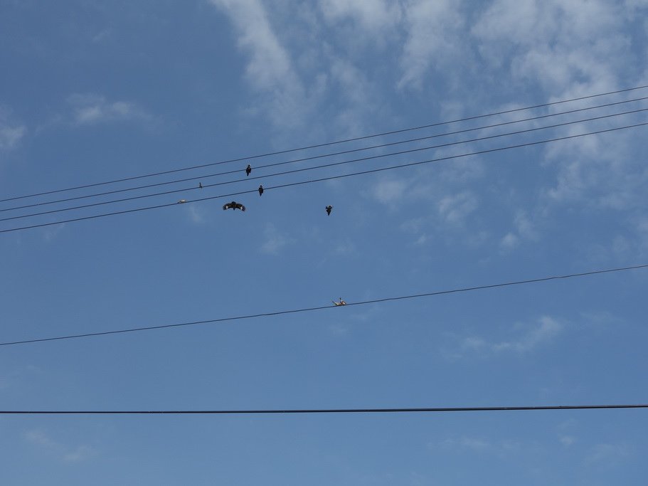 20131118_160.JPG