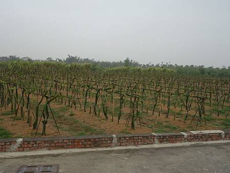 20140308_33.JPG