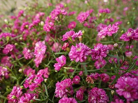 20140308_53.JPG