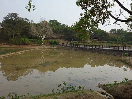 20140322_22.JPG