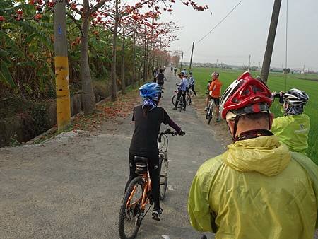 20140322_27.JPG