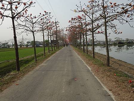 20140322_29.JPG