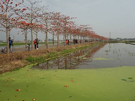 20140322_35.JPG