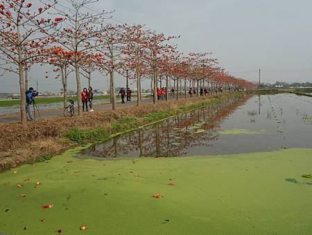 20140322_36.JPG