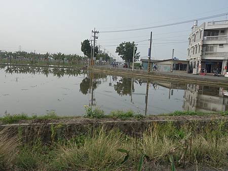 20140322_60.JPG