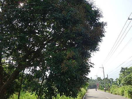20140628_22.JPG