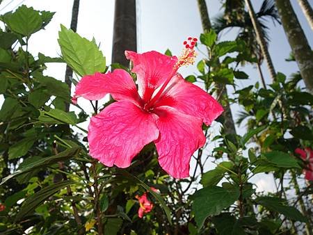 20140628_26.JPG