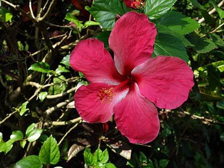 20140628_27.JPG