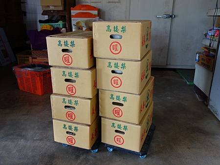 20140628_80.JPG
