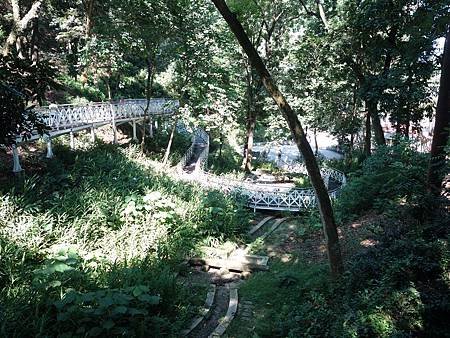 20140726_051.JPG