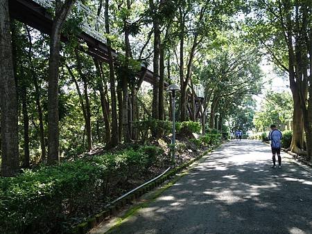 20140726_063.JPG