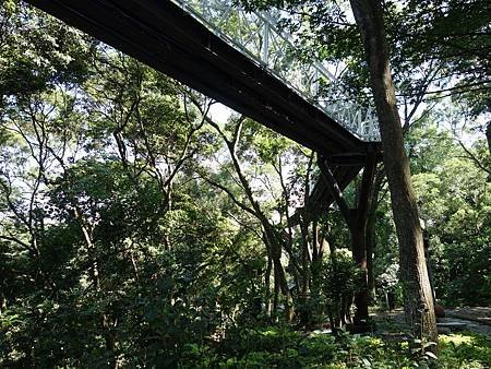20140726_064.JPG