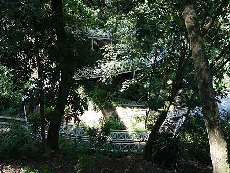 20140726_069.JPG