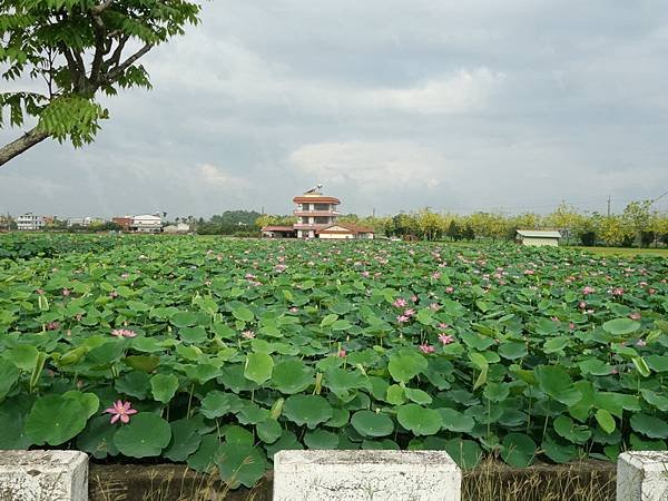 DSC09578.JPG