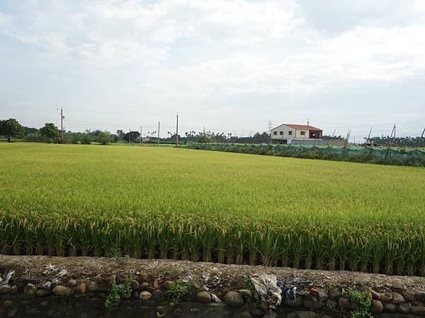 DSC09611.JPG