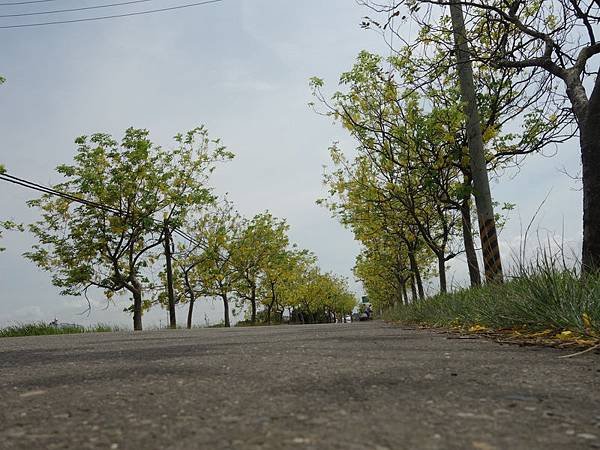 DSC09646.JPG