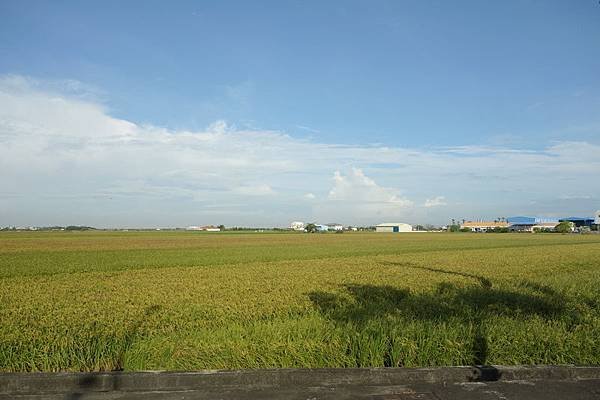 DSC01471.JPG