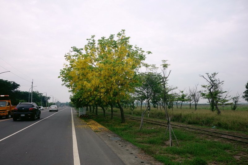 DSC04610.jpg