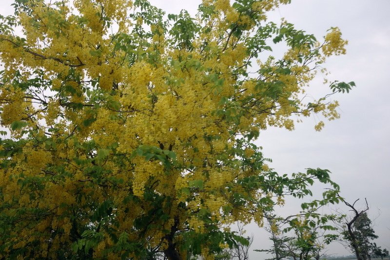 DSC04611.jpg