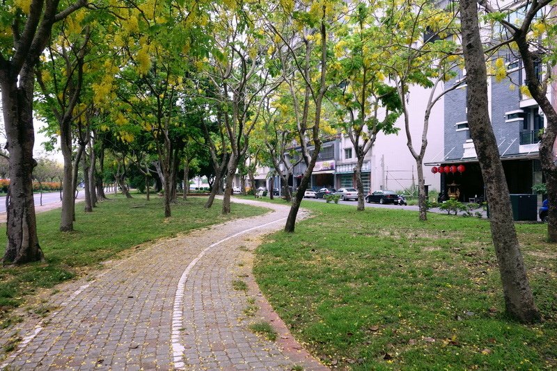 DSC04665.jpg