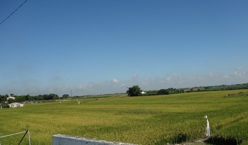 DSC04703.jpg