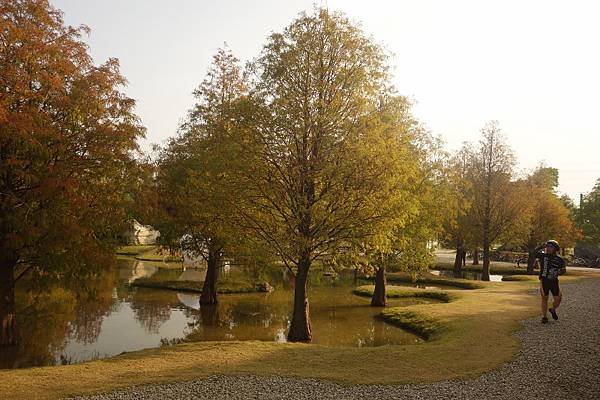 DSC03903 (800x533).jpg