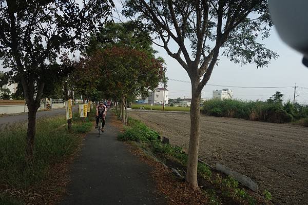 DSC03972 (800x533).jpg