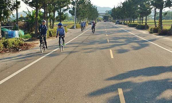 DSC04305 (800x478).jpg