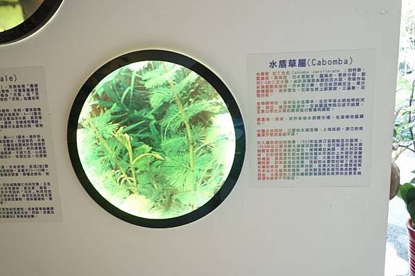 DSC04429 (800x533).jpg