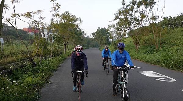 DSC06318 (800x440).jpg