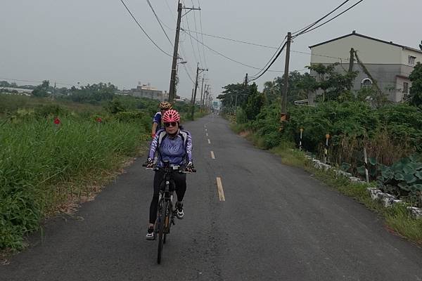 DSC02477 (800x533).jpg